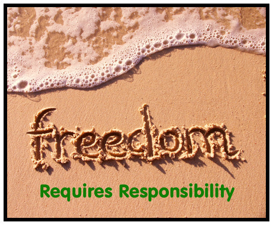 We Are Responsible